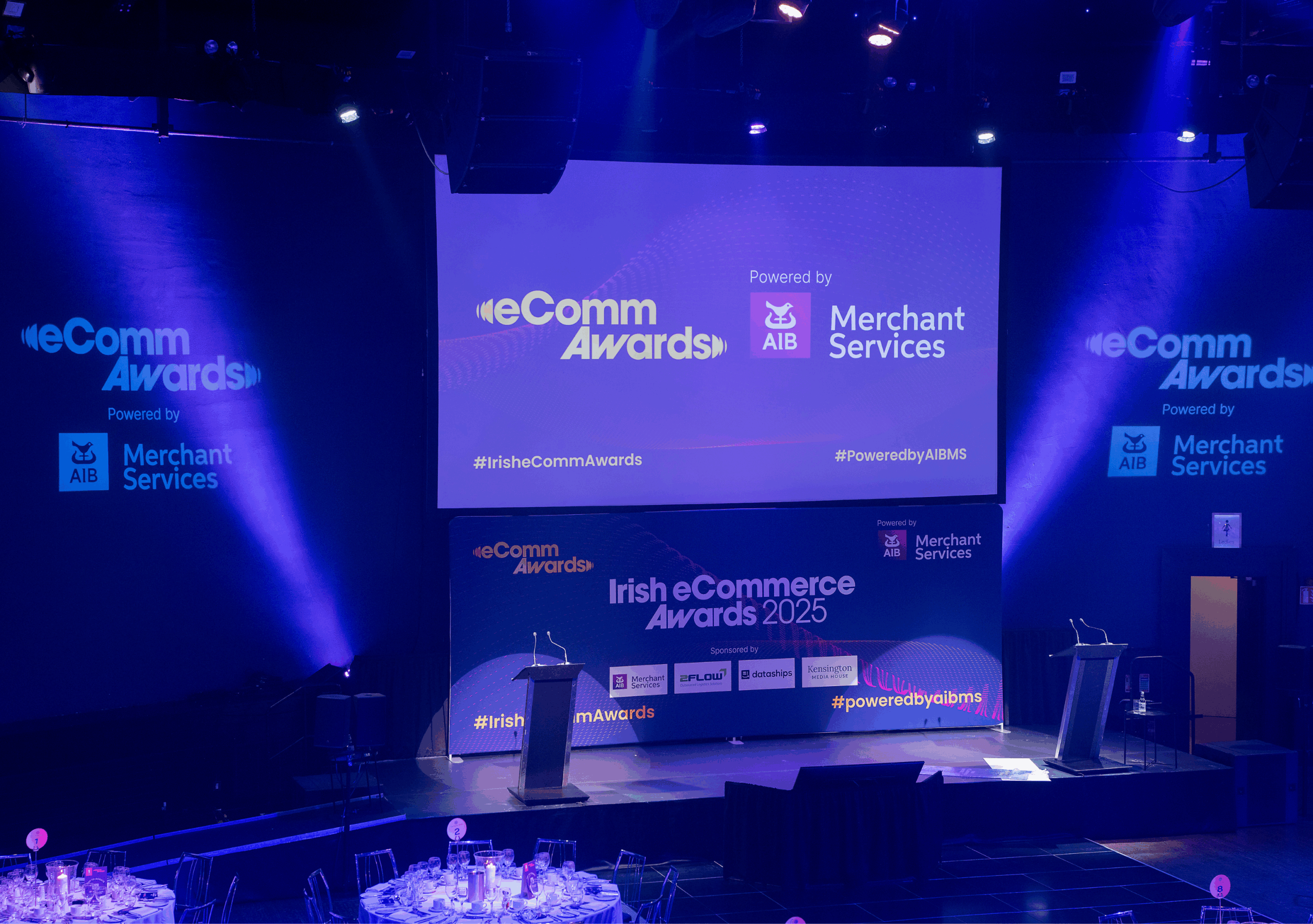 20 × 11 ft projection screen