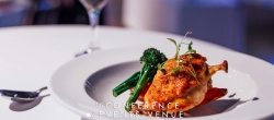 roundroom_food_small_res-192